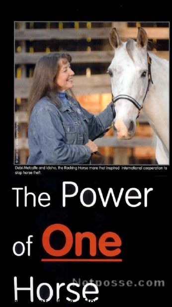The Power of One Horse (Gaited Horse Magazine Article)